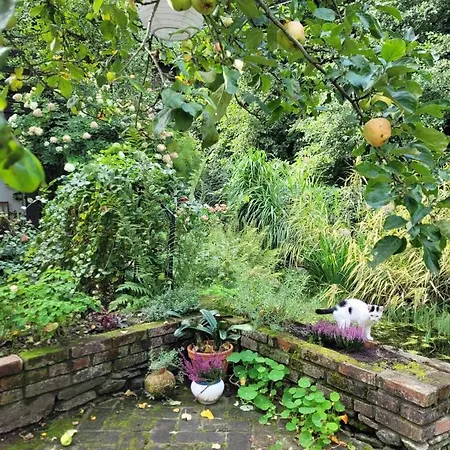 Prázdninový dům 55