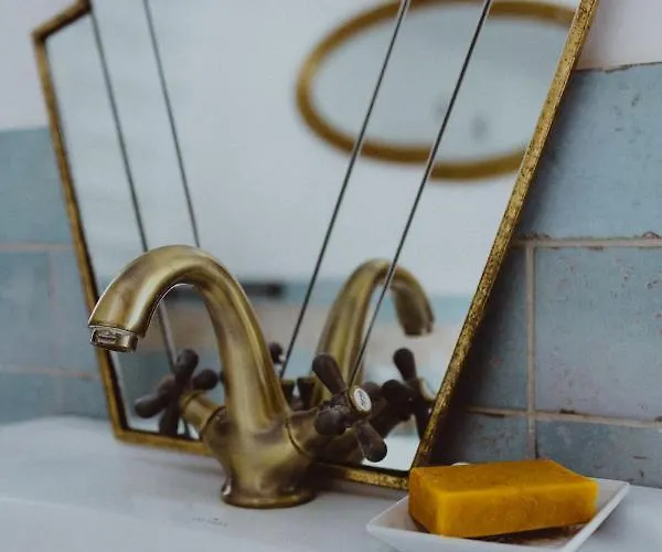 55 بيت للعطل