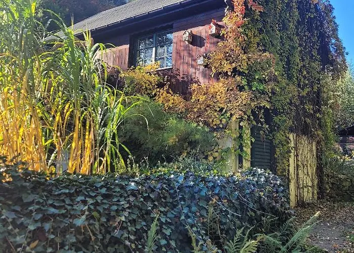 55 بيت للعطل