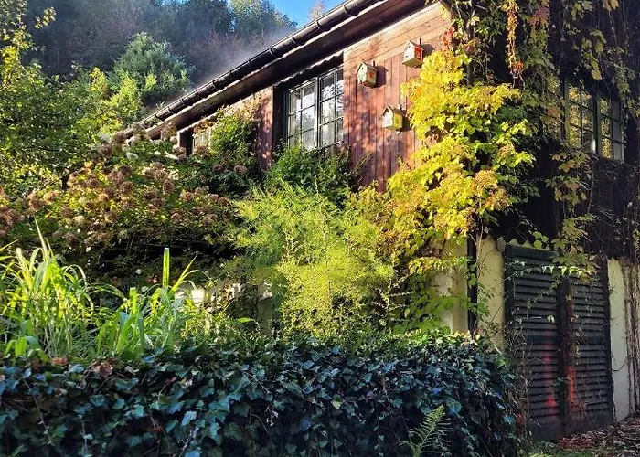 بيت للعطل 55