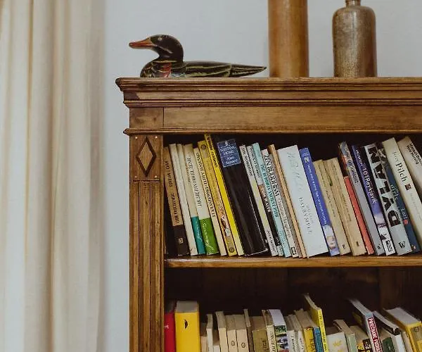 55 بيت للعطل Jemna