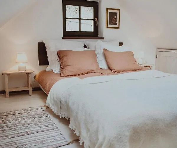 55 بيت للعطل