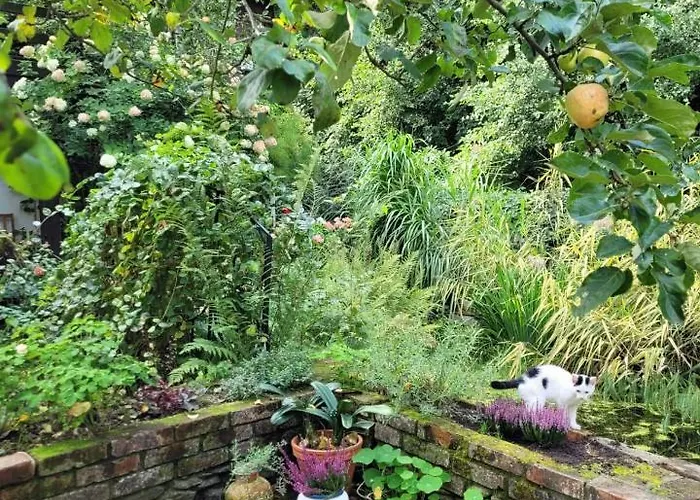 بيت للعطل 55